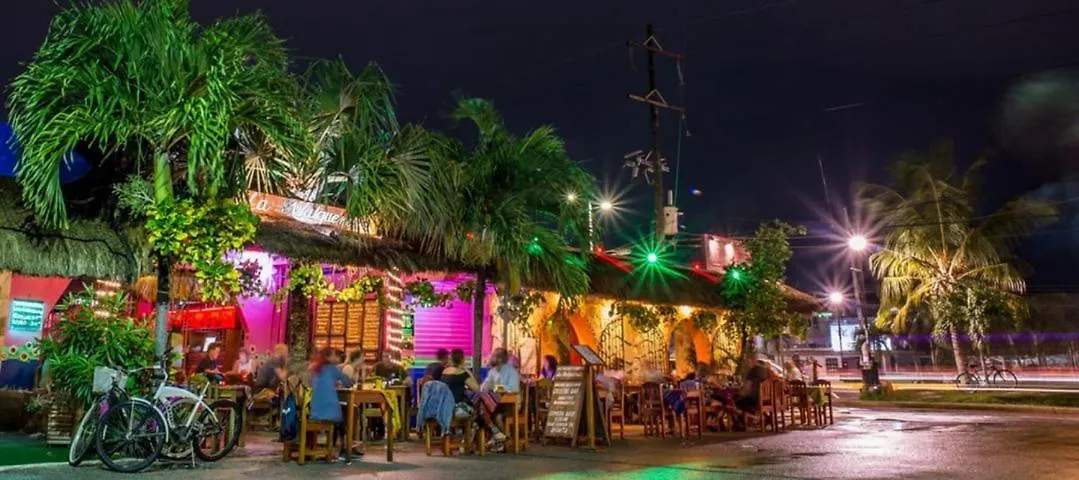 Kimera En La Zona Mas Exclusiva De Tulum