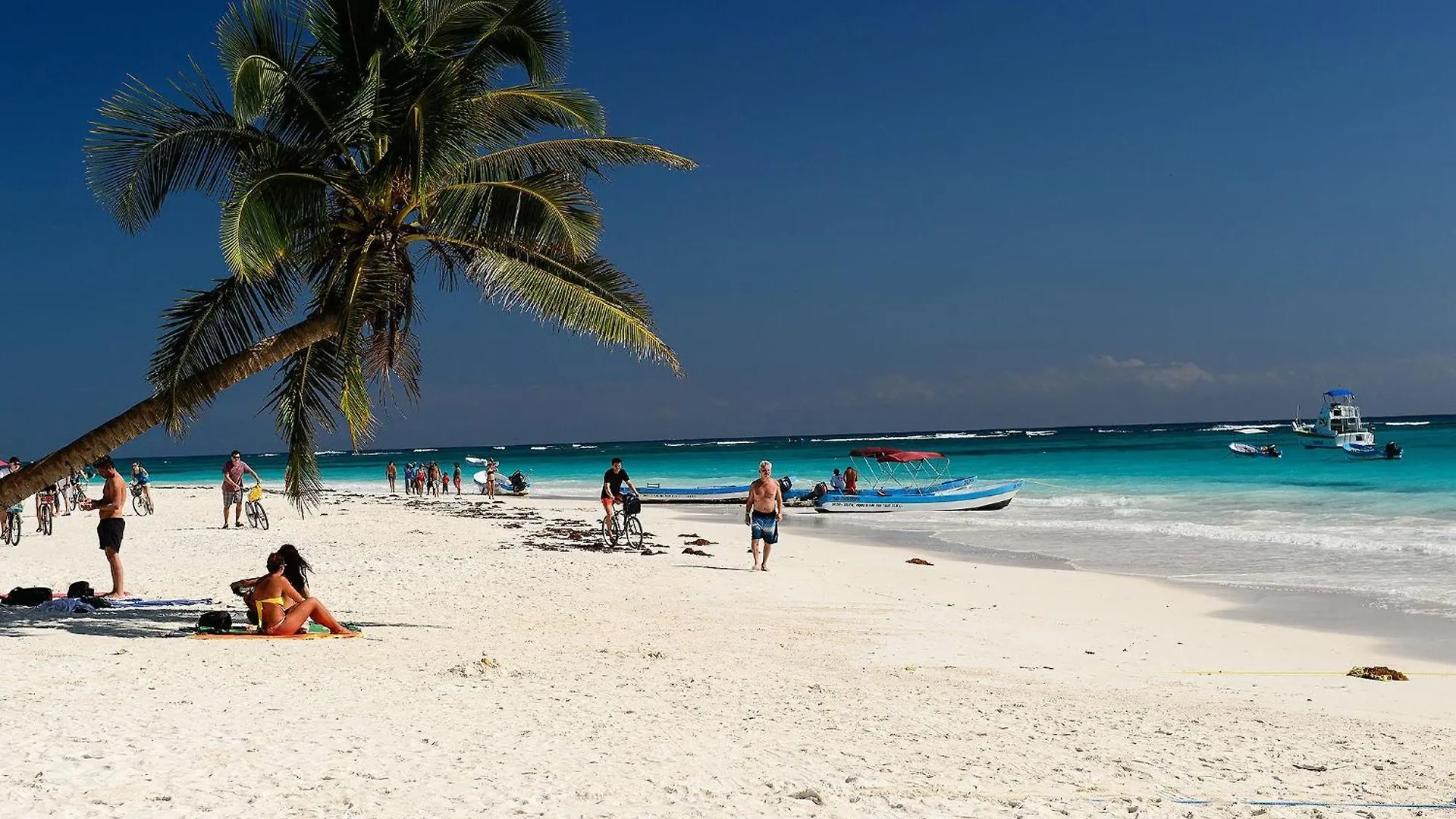 Apartamento Kimera En La Zona Mas Exclusiva De Tulum México